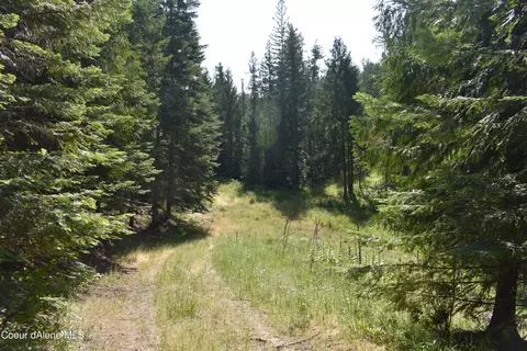 4226 Emerald Dr, Harrison, ID 83833 photo 38
