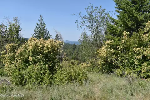 4226 Emerald Dr, Harrison, ID 83833 photo 30