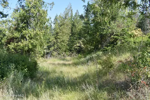 4226 Emerald Dr, Harrison, ID 83833 photo 34