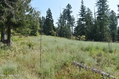 4226 Emerald Dr, Harrison, ID 83833 photo 33