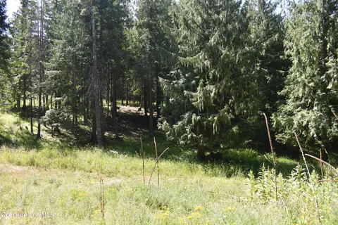4226 Emerald Dr, Harrison, ID 83833 photo 39