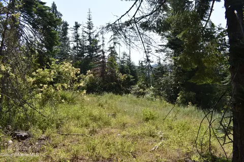 4226 Emerald Dr, Harrison, ID 83833 photo 26