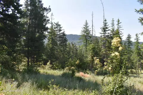 4226 Emerald Dr, Harrison, ID 83833 photo 29