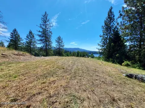 149 Pine Leaf Rd, Priest River, ID 83856 photo 4