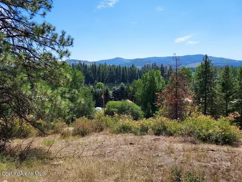 149 Pine Leaf Rd, Priest River, ID 83856 photo 9