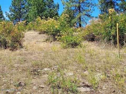 149 Pine Leaf Rd, Priest River, ID 83856 photo 19