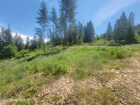Park Ave, Harrison, ID 83833 photo 8