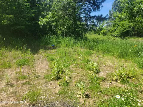 Park Ave, Harrison, ID 83833 photo 2