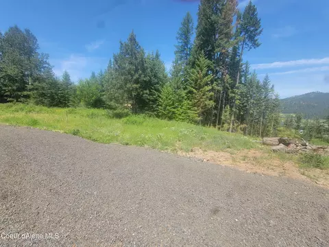 Park Ave, Harrison, ID 83833 photo 9