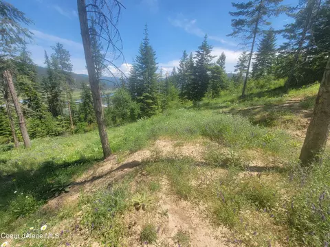 Park Ave, Harrison, ID 83833 photo 4
