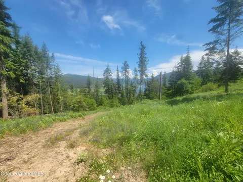 Park Ave, Harrison, ID 83833 photo 5