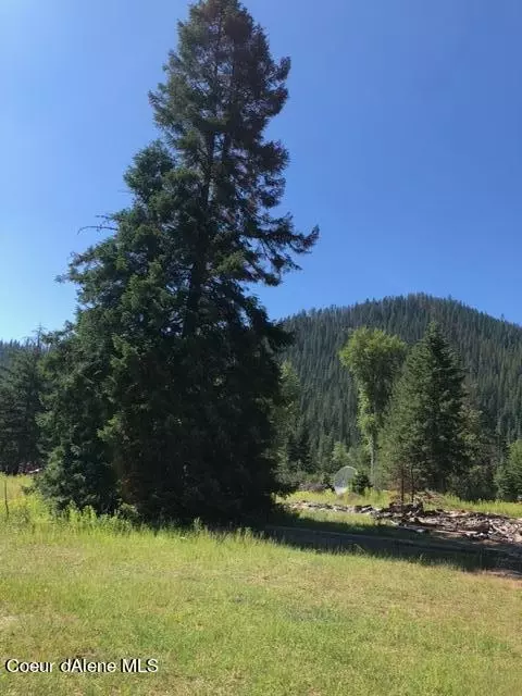 529 Eagle Creek Rd, Wallace, ID 83873 photo 6