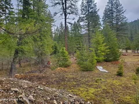 529 Eagle Creek Rd, Wallace, ID 83873 photo 3