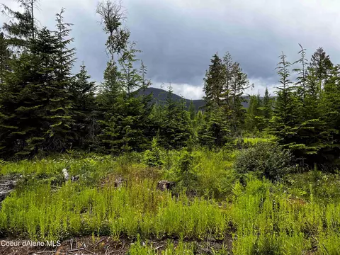 1267 Elmira Rd, Sandpoint, ID 83864