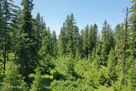 521 Crestview Dr, Plummer, ID 83851 photo 4
