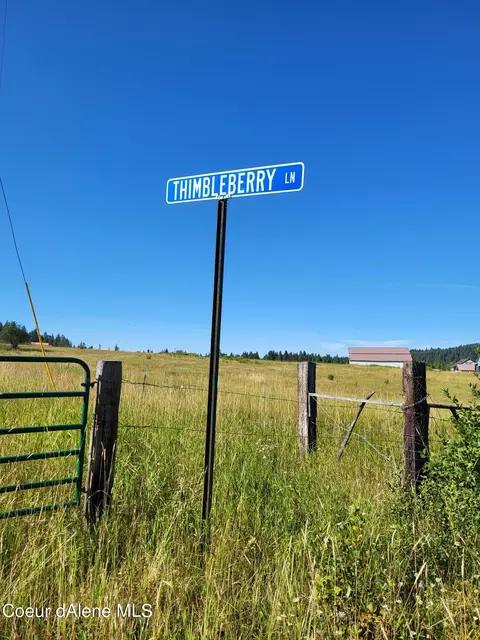 Nna Thimbleberry Lane, Plummer, ID 83851
