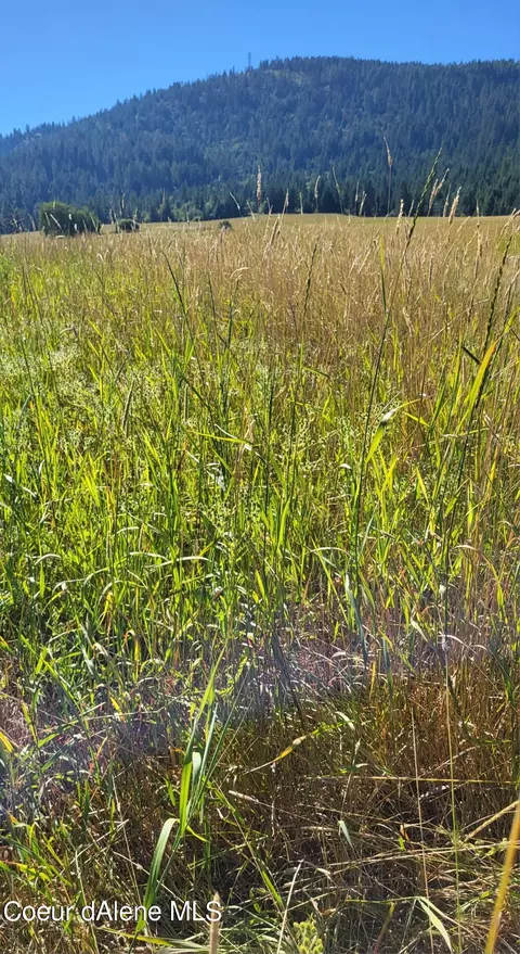 Nna Thimbleberry Lane, Plummer, ID 83851 photo 5