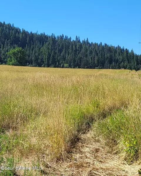 Nna Thimbleberry Lane, Plummer, ID 83851 photo 2