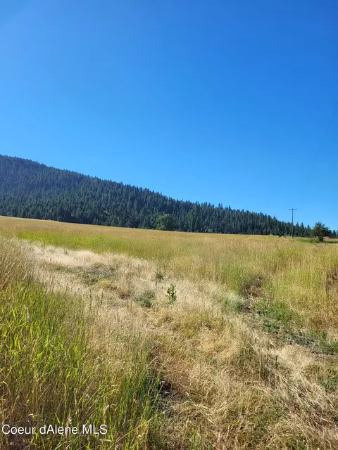 Nna Thimbleberry Lane, Plummer, ID 83851 photo 4