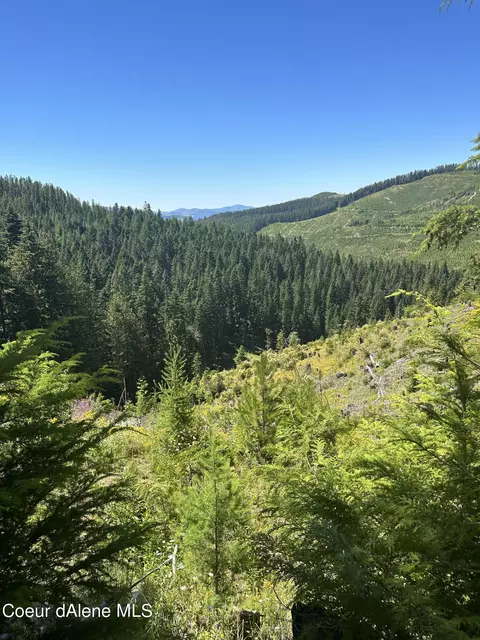 2580 Alpine Dr, Fernwood, ID 83830