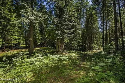 0 Highway 200, Clark Fork, ID 83811