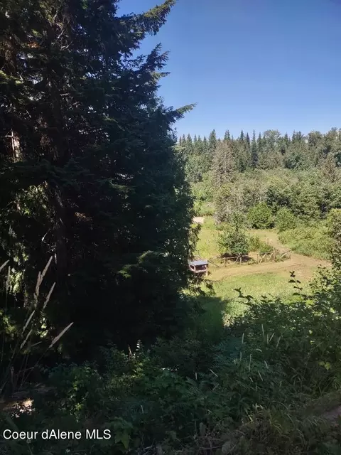 431 Fall Crk Rd, Naples, ID 83847 photo 54