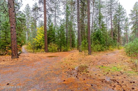 4457 E Canvasback Ave, Post Falls, ID 83854 photo 36