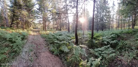 Nna Old Homestead Road, Careywood, ID 83809