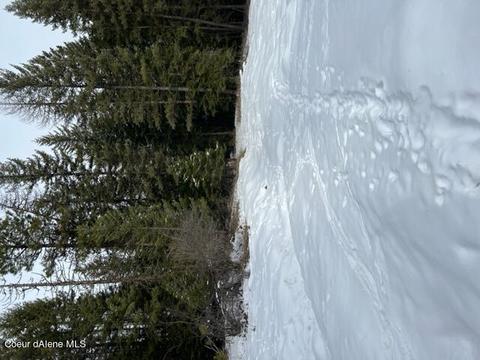1150 Pokey Creek Rd, Santa, ID 83866