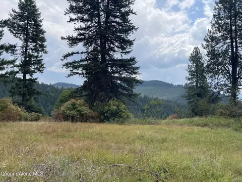 630 Davis Creek Rd, Santa, ID 83866