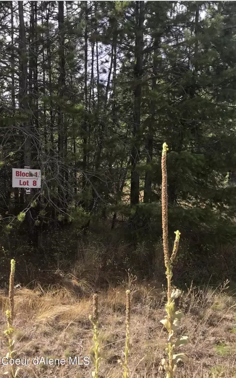 300 Cardinal Ln, Spirit Lake, ID 83869