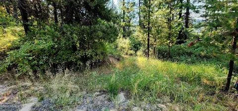 203 Meadowlark Dr, Fernwood, ID 83830