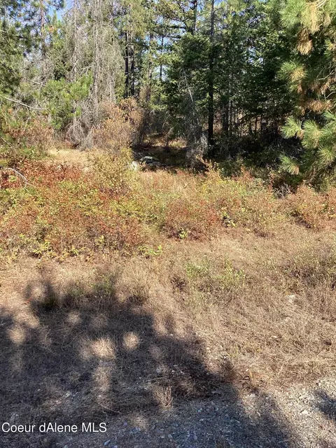 691 Vertical Dr, Cocolalla, ID 83813 photo 17