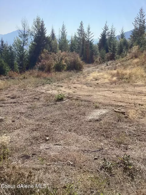 691 Vertical Dr, Cocolalla, ID 83813 photo 11