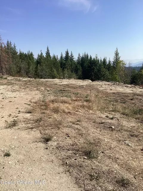 691 Vertical Dr, Cocolalla, ID 83813 photo 4