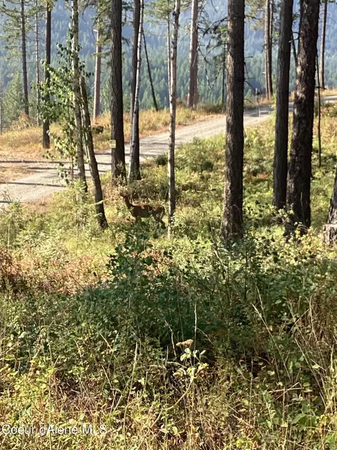 691 Vertical Dr, Cocolalla, ID 83813 photo 35