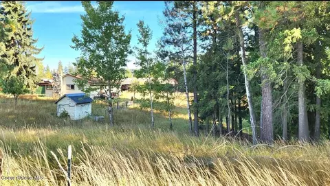 6899 E Bell Canyon Rd, Harrison, ID 83833
