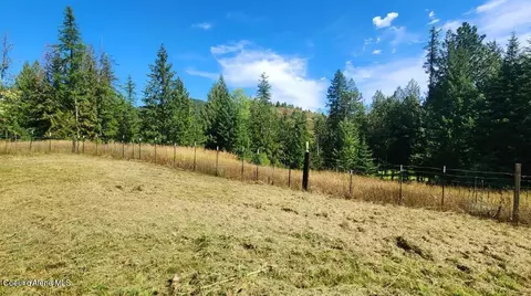 6899 E Bell Canyon Rd, Harrison, ID 83833 photo 38