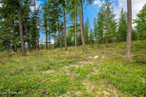 lot6 Cedar Rdg, Dover, ID 83825 photo 19