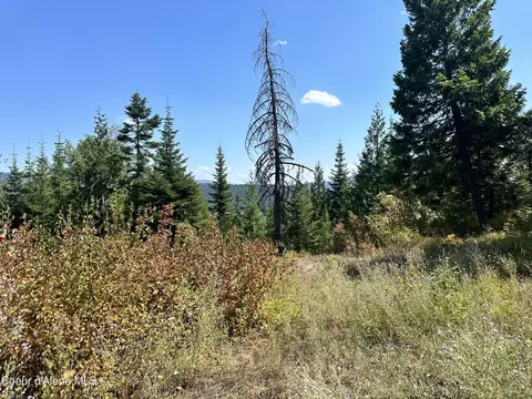 1 Cresthaven Dr, Sandpoint, ID 83864 photo 9