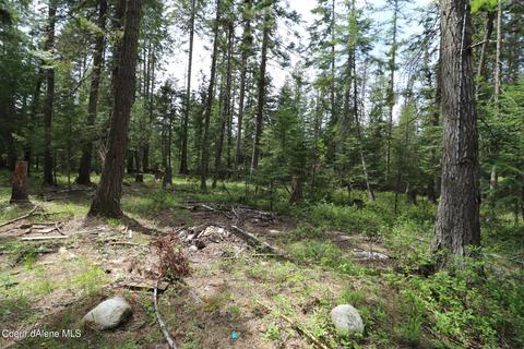 11737 E Shadow Ln, Athol, ID 83801 photo 11