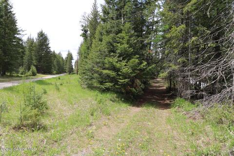 11737 E Shadow Ln, Athol, ID 83801 photo 15