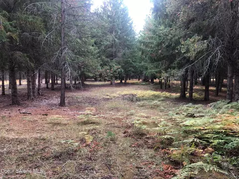 Nna Cougar Rd., Naples, ID 83847