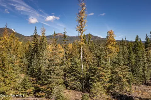 Nna Goat Trail, Sandpoint, ID 83864