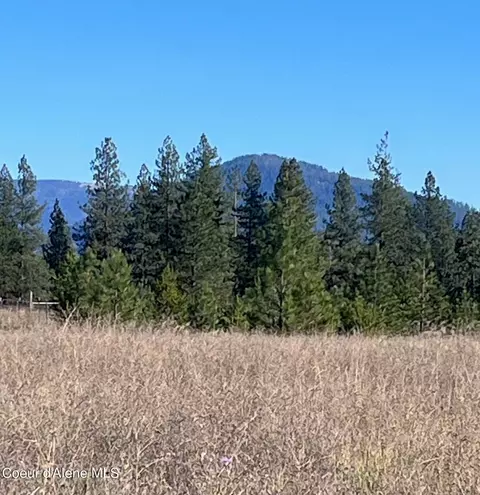 Nna E Yellow Pine Ave, Athol, ID 83801 photo 5