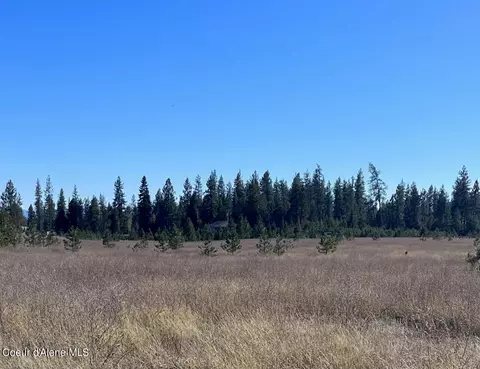 Nna E Yellow Pine Ave, Athol, ID 83801 photo 8