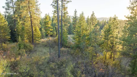 4 Us 95, Plummer, ID 83851 photo 26