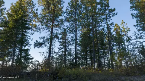 4 Us 95, Plummer, ID 83851 photo 12