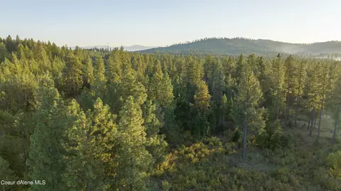 4 Us 95, Plummer, ID 83851 photo 14