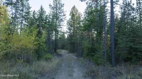 4 Us 95, Plummer, ID 83851 photo 10